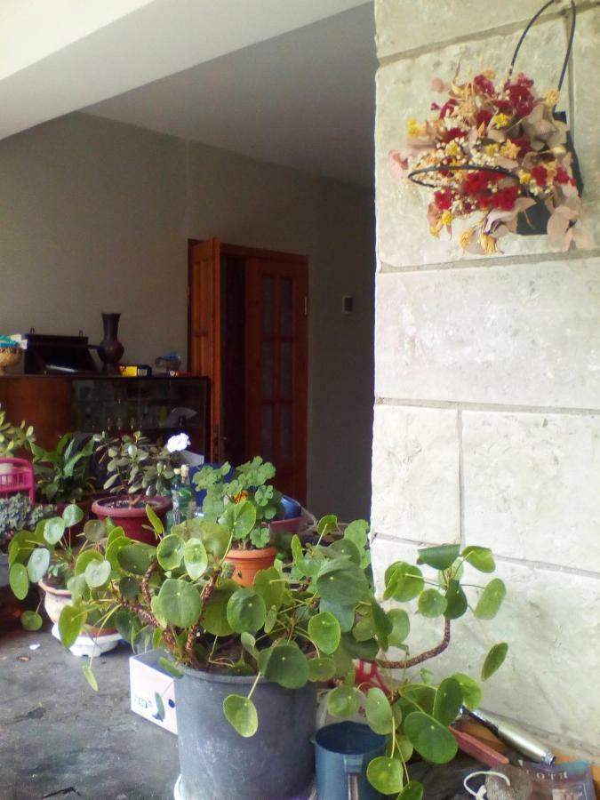 Kapana Hotel Mtskheta Luaran gambar