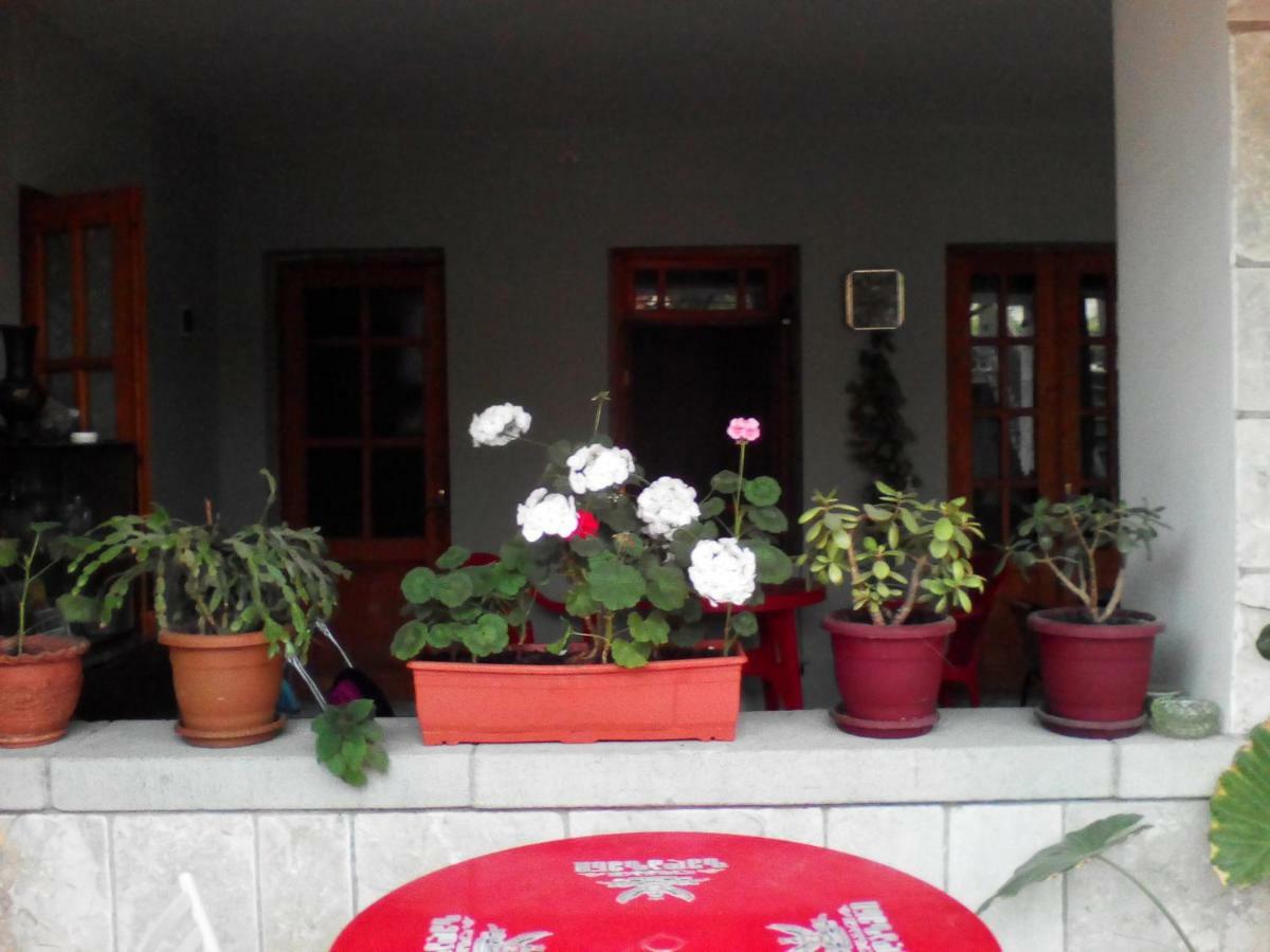 Kapana Hotel Mtskheta Luaran gambar